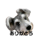 あんらんcoco（個別スタンプ：2）