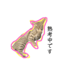 お返事ねこ[キナコ]2（個別スタンプ：14）