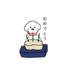 しろい いぬ 。（個別スタンプ：13）