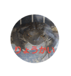 フロッグス2（個別スタンプ：8）