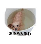 おすましサリーちゃん（個別スタンプ：4）