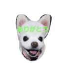 ヨンの仲間たち（個別スタンプ：9）