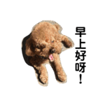 毎日Rocky.niniで（個別スタンプ：2）