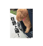 毎日Rocky.niniで（個別スタンプ：3）