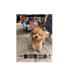 毎日Rocky.niniで（個別スタンプ：5）