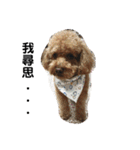 毎日Rocky.niniで（個別スタンプ：6）