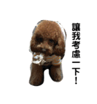 毎日Rocky.niniで（個別スタンプ：7）