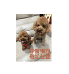 毎日Rocky.niniで（個別スタンプ：8）