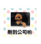 毎日Rocky.niniで（個別スタンプ：9）