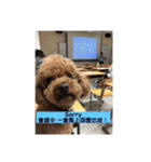 毎日Rocky.niniで（個別スタンプ：10）