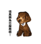 毎日Rocky.niniで（個別スタンプ：11）