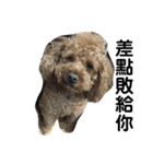 毎日Rocky.niniで（個別スタンプ：12）