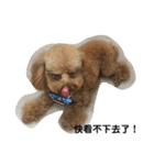 毎日Rocky.niniで（個別スタンプ：14）