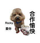毎日Rocky.niniで（個別スタンプ：17）