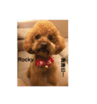 毎日Rocky.niniで（個別スタンプ：18）