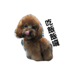 毎日Rocky.niniで（個別スタンプ：22）