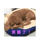 毎日Rocky.niniで（個別スタンプ：23）