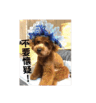 毎日Rocky.niniで（個別スタンプ：26）