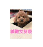 毎日Rocky.niniで（個別スタンプ：28）