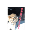 毎日Rocky.niniで（個別スタンプ：29）
