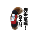 毎日Rocky.niniで（個別スタンプ：30）