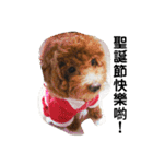 毎日Rocky.niniで（個別スタンプ：31）