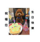 毎日Rocky.niniで（個別スタンプ：33）
