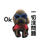 毎日Rocky.niniで（個別スタンプ：34）