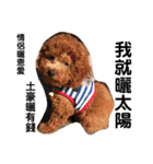 毎日Rocky.niniで（個別スタンプ：35）