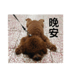 毎日Rocky.niniで（個別スタンプ：40）