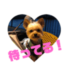 ひゅういのスタンプ（個別スタンプ：1）