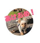 ひゅういのスタンプ（個別スタンプ：4）