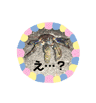 沖縄風景で気持ちを伝えよう（個別スタンプ：3）