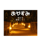 沖縄風景で気持ちを伝えよう（個別スタンプ：5）