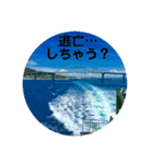 沖縄風景で気持ちを伝えよう（個別スタンプ：10）