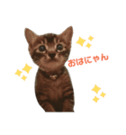子猫のうずら♥（個別スタンプ：1）