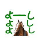 馬のデカ文字（個別スタンプ：31）