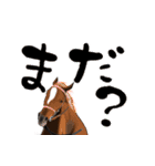 馬のデカ文字（個別スタンプ：38）