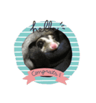フクロモモンガのはづきちくん（個別スタンプ：1）