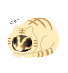 フクロモモンガのはづきちくん（個別スタンプ：6）