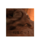フクロモモンガのはづきちくん（個別スタンプ：19）