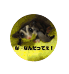 フクロモモンガのはづきちくん（個別スタンプ：20）
