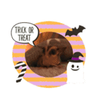 フクロモモンガのはづきちくん（個別スタンプ：24）
