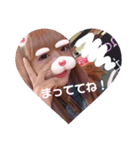 まりんのスタンプだよ（個別スタンプ：5）