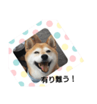 公園の仲間（個別スタンプ：1）