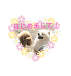 公園の仲間（個別スタンプ：9）