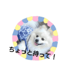 公園の仲間（個別スタンプ：13）