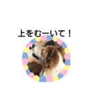 公園の仲間（個別スタンプ：19）