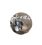 公園の仲間（個別スタンプ：21）