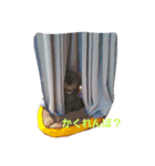 こころの日常✿（個別スタンプ：4）